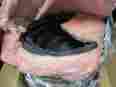 03025-16 Atco Insulated Flexible Duct Dia 16 Length 25 Ft Insulation R 4.2 671094167940