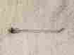 11k382 Value Brand Anchor Bolt L Hook Approx 3 Thread 1 2 Lot Of 40