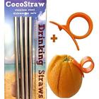 4stt-2brush 1cpx Cocostraw 4 Stainless 851307002187