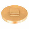 Brpl312 876-35pk Sioux Chief Raised Face Brass Plug 739236302564