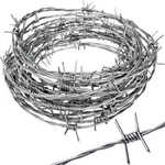 Dlh Western Real Barbed Wire 25FT 18 Gauge - Great For Crafts, Fences, Critter. Fixed Price $14.88.
