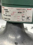 Asco 8215B050 24VDC 25PSI Nsnp. Fixed Price $79.15.