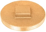 Plug Raised 3.5BRASS. Fixed Price $24.88.