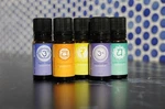 Mr Steam Bath Generators Chakra Blend Essential Aromatherapy Oils 7 Pack. Fixed Price $180.00.